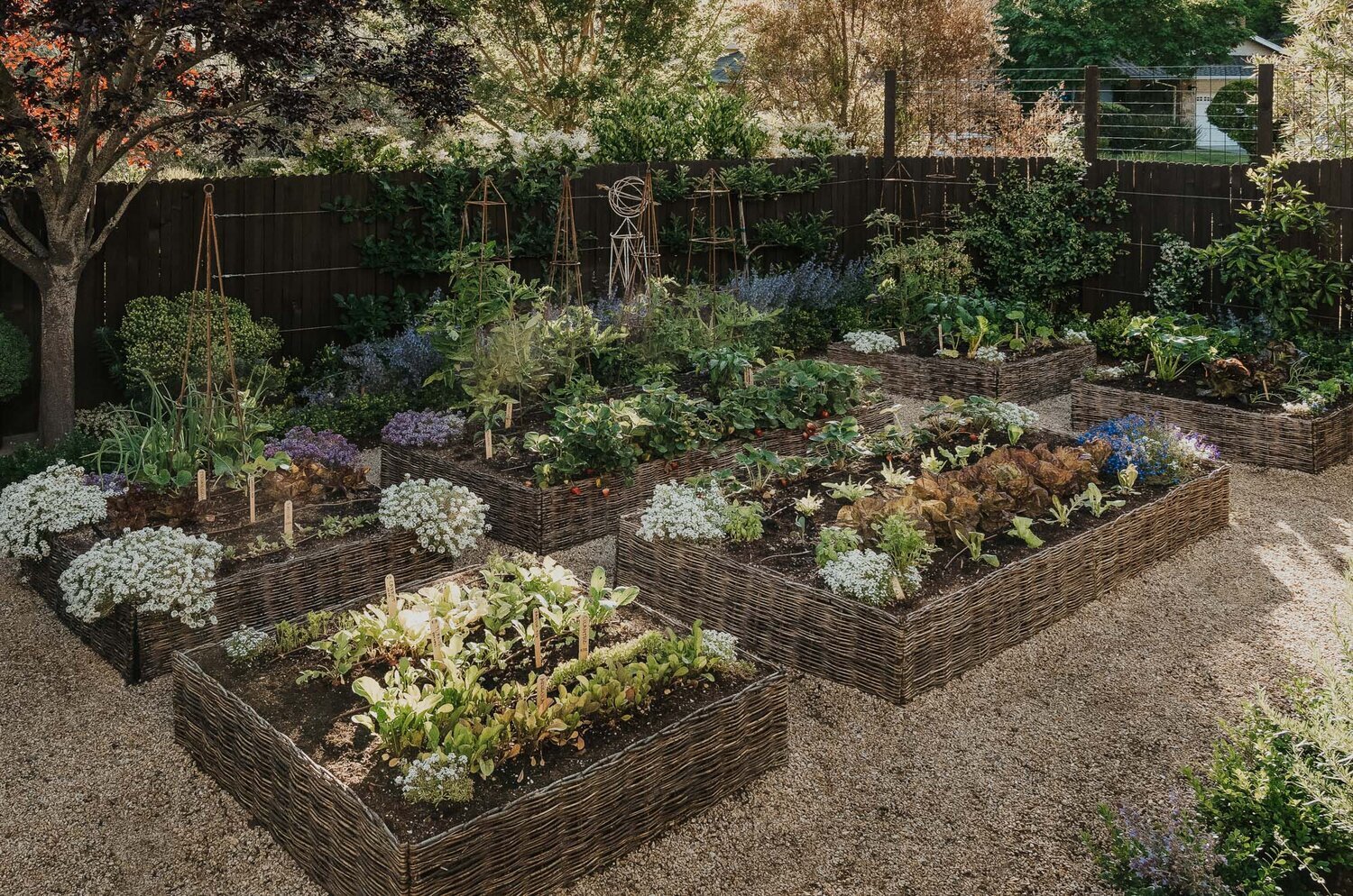 Vegetable Garden Inspiration - Our Portfolio - The Backyard Farm